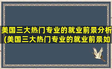 美国三大热门专业的就业前景分析(美国三大热门专业的就业前景如何)