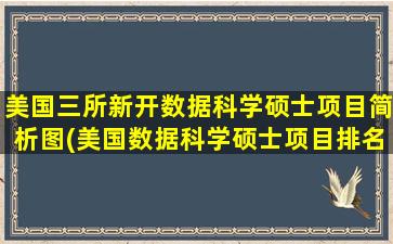 美国三所新开数据科学硕士项目简析图(美国数据科学硕士项目排名)