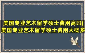 美国专业艺术留学硕士费用高吗(美国专业艺术留学硕士费用大概多少)