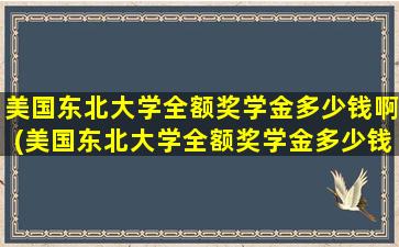 美国东北大学全额奖学金多少钱啊(美国东北大学全额奖学金多少钱一个月)