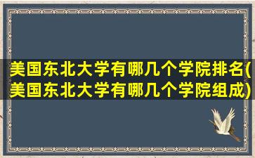 美国东北大学有哪几个学院排名(美国东北大学有哪几个学院组成)