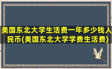 美国东北大学生活费一年多少钱人民币(美国东北大学学费生活费)