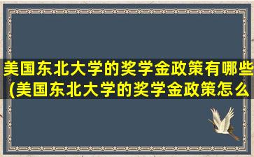 美国东北大学的奖学金政策有哪些(美国东北大学的奖学金政策怎么样)