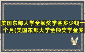 美国东部大学全额奖学金多少钱一个月(美国东部大学全额奖学金多少钱啊)