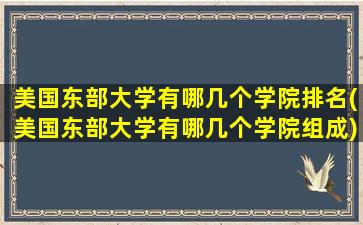 美国东部大学有哪几个学院排名(美国东部大学有哪几个学院组成)