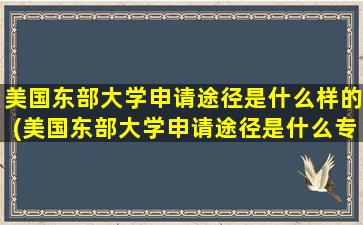 美国东部大学申请途径是什么样的(美国东部大学申请途径是什么专业)