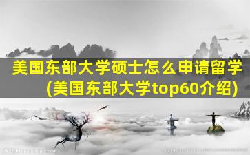 美国东部大学硕士怎么申请留学(美国东部大学top60介绍)