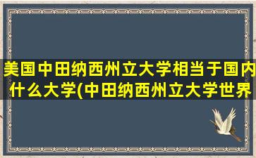 美国中田纳西州立大学相当于国内什么大学(中田纳西州立大学世界排名)