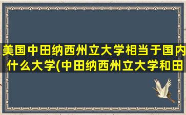 美国中田纳西州立大学相当于国内什么大学(中田纳西州立大学和田纳西大学)