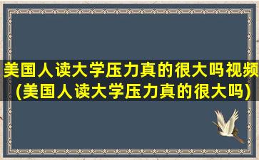 美国人读大学压力真的很大吗视频(美国人读大学压力真的很大吗)