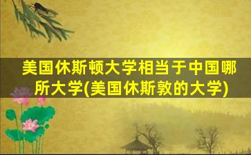 美国休斯顿大学相当于中国哪所大学(美国休斯敦的大学)