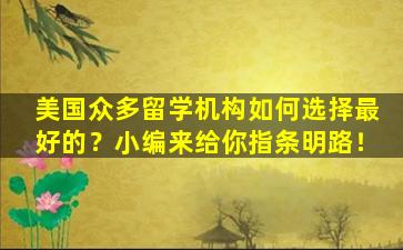 美国众多留学机构如何选择最好的？小编来给你指条明路！