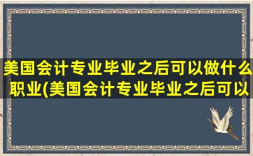 美国会计专业毕业之后可以做什么职业(美国会计专业毕业之后可以做什么职位)