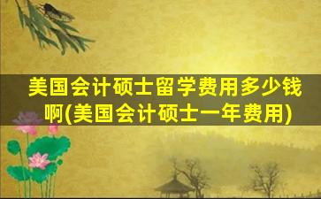 美国会计硕士留学费用多少钱啊(美国会计硕士一年费用)