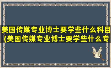 美国传媒专业博士要学些什么科目(美国传媒专业博士要学些什么专业)