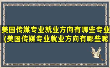 美国传媒专业就业方向有哪些专业(美国传媒专业就业方向有哪些呢)