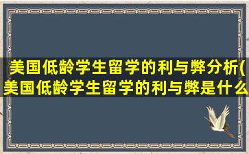 美国低龄学生留学的利与弊分析(美国低龄学生留学的利与弊是什么)