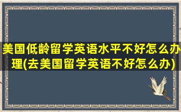 美国低龄留学英语水平不好怎么办理(去美国留学英语不好怎么办)