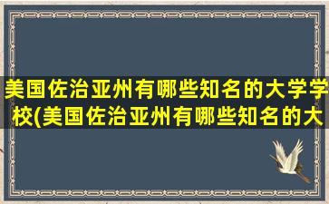 美国佐治亚州有哪些知名的大学学校(美国佐治亚州有哪些知名的大学和学院)