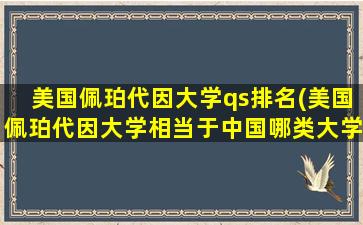 美国佩珀代因大学qs排名(美国佩珀代因大学相当于中国哪类大学)