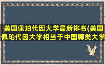 美国佩珀代因大学最新排名(美国佩珀代因大学相当于中国哪类大学)