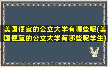 美国便宜的公立大学有哪些呢(美国便宜的公立大学有哪些呢学生)