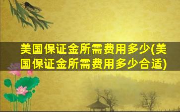 美国保证金所需费用多少(美国保证金所需费用多少合适)