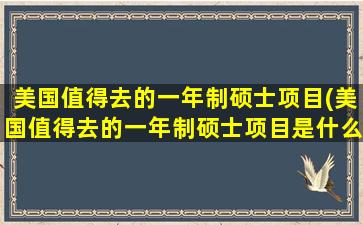 美国值得去的一年制硕士项目(美国值得去的一年制硕士项目是什么)