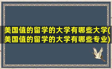 美国值的留学的大学有哪些大学(美国值的留学的大学有哪些专业)