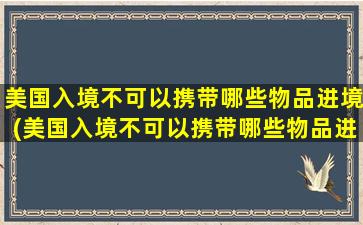 美国入境不可以携带哪些物品进境(美国入境不可以携带哪些物品进去)