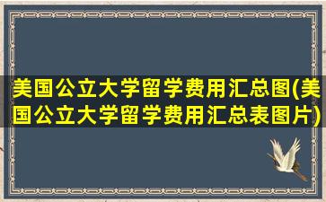 美国公立大学留学费用汇总图(美国公立大学留学费用汇总表图片)