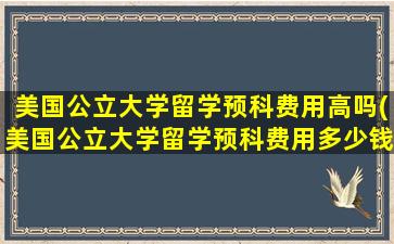 美国公立大学留学预科费用高吗(美国公立大学留学预科费用多少钱)