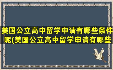 美国公立高中留学申请有哪些条件呢(美国公立高中留学申请有哪些条件和流程)