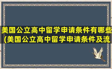 美国公立高中留学申请条件有哪些(美国公立高中留学申请条件及流程)