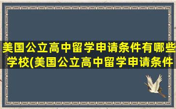 美国公立高中留学申请条件有哪些学校(美国公立高中留学申请条件有哪些呢)