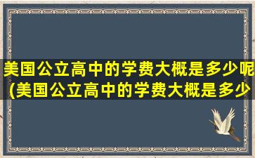 美国公立高中的学费大概是多少呢(美国公立高中的学费大概是多少呢英语)