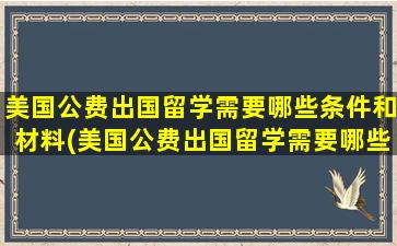 美国公费出国留学需要哪些条件和材料(美国公费出国留学需要哪些条件和手续)