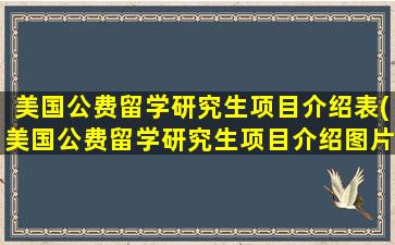 美国公费留学研究生项目介绍表(美国公费留学研究生项目介绍图片)