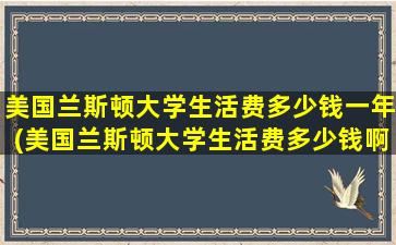 美国兰斯顿大学生活费多少钱一年(美国兰斯顿大学生活费多少钱啊)