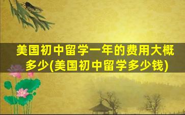 美国初中留学一年的费用大概多少(美国初中留学多少钱)