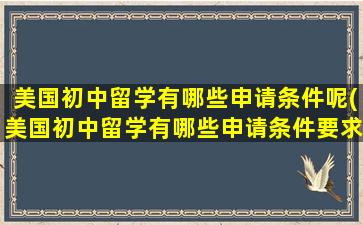 美国初中留学有哪些申请条件呢(美国初中留学有哪些申请条件要求)