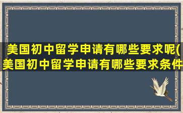 美国初中留学申请有哪些要求呢(美国初中留学申请有哪些要求条件)