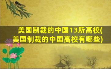 美国制裁的中国13所高校(美国制裁的中国高校有哪些)