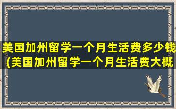 美国加州留学一个月生活费多少钱(美国加州留学一个月生活费大概多少)