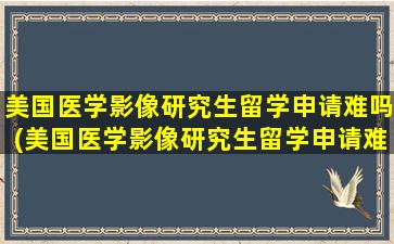 美国医学影像研究生留学申请难吗(美国医学影像研究生留学申请难吗多少钱)