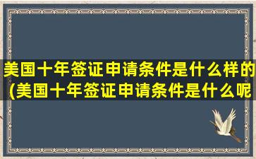 美国十年签证申请条件是什么样的(美国十年签证申请条件是什么呢)