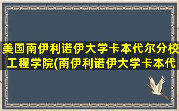 美国南伊利诺伊大学卡本代尔分校工程学院(南伊利诺伊大学卡本代尔分校对外英语教学)