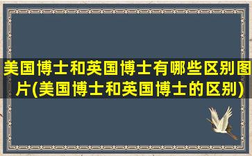 美国博士和英国博士有哪些区别图片(美国博士和英国博士的区别)