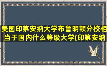 美国印第安纳大学布鲁明顿分校相当于国内什么等级大学(印第安纳大学布卢明顿分校排名)