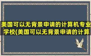 美国可以无背景申请的计算机专业学校(美国可以无背景申请的计算机专业有哪些)